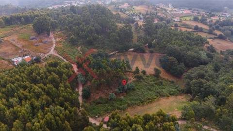 Terreno c/ 6.300m2 - Tabuaças, Vieira do Minho