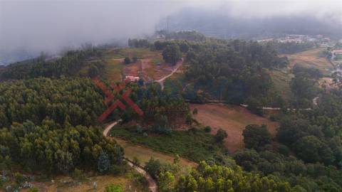 Terreno c/ 6.300m2 - Tabuaças, Vieira do Minho