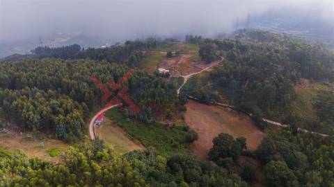 Terreno c/ 6.300m2 - Tabuaças, Vieira do Minho