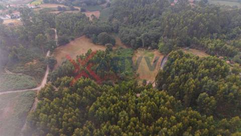 Terreno c/ 6.300m2 - Tabuaças, Vieira do Minho