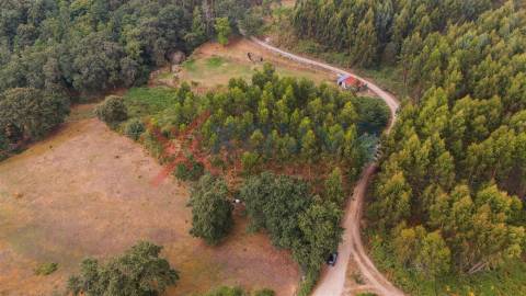 Terreno c/ 6.300m2 - Tabuaças, Vieira do Minho