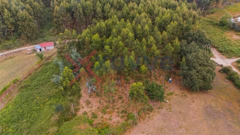 Terreno c/ 6.300m2 - Tabuaças, Vieira do Minho