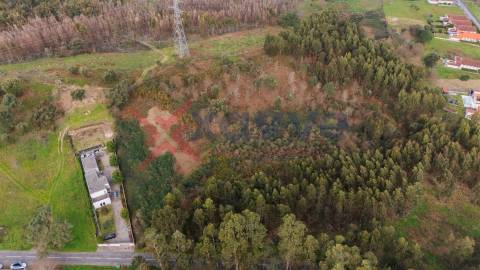 Terreno para venda  - Ferreiros, a 10 minutos de Braga