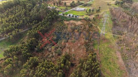Terreno para venda  - Ferreiros, a 10 minutos de Braga