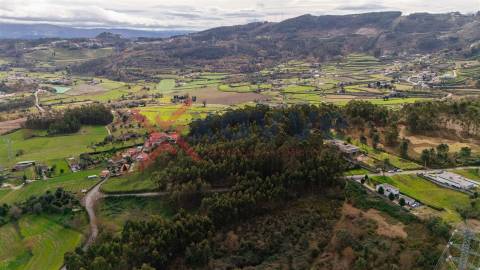 Terreno para venda  - Ferreiros, a 10 minutos de Braga