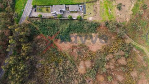 Terreno para venda  - Ferreiros, a 10 minutos de Braga
