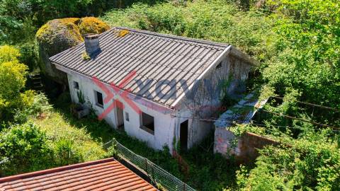 Terreno Urbano  Venda em Martim,Barcelos