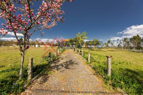 Moradia T6 Venda em Cervães,Vila Verde