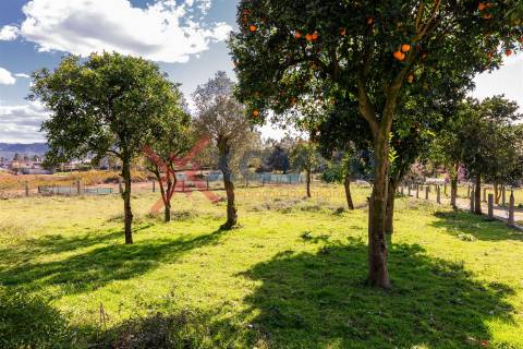 Moradia T6 Venda em Cervães,Vila Verde