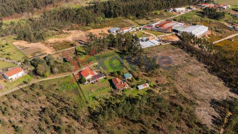 Moradia T6 Venda em Cervães,Vila Verde