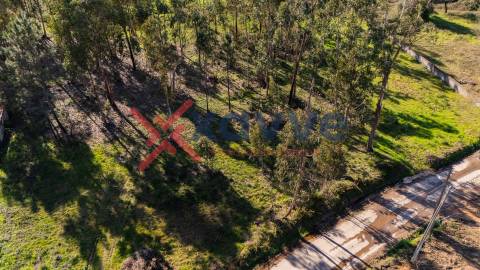Terreno Para Construção  Venda em Cervães,Vila Verde