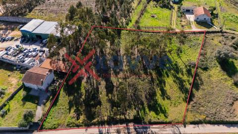 Terreno Para Construção  Venda em Cervães,Vila Verde