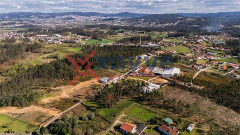 Terreno Para Construção  Venda em Cervães,Vila Verde