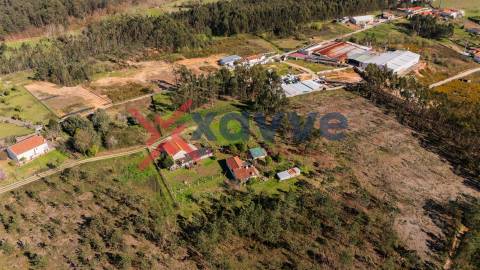 Terreno Para Construção  Venda em Cervães,Vila Verde