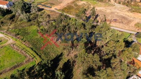 Terreno Para Construção  Venda em Cervães,Vila Verde