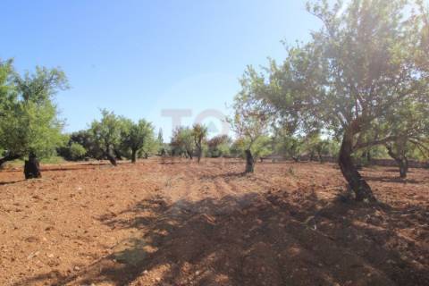 Terreno urbano destinado a construção de moradias unifamiliares