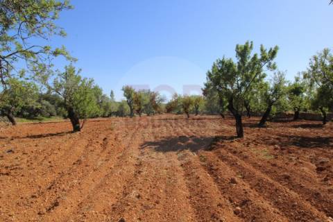 Terreno urbano destinado a construção de moradias unifamiliares