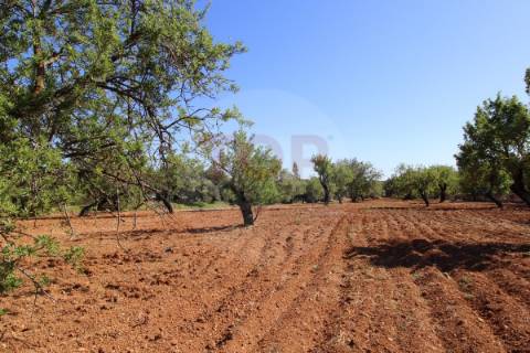 Terreno urbano destinado a construção de moradias unifamiliares