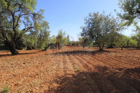 Terreno urbano destinado a construção de moradias unifamiliares