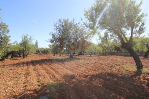 Terreno urbano destinado a construção de moradias unifamiliares