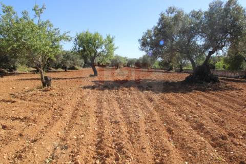 Terreno urbano destinado a construção de moradias unifamiliares
