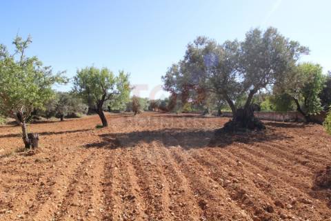 Terreno urbano destinado a construção de moradias unifamiliares