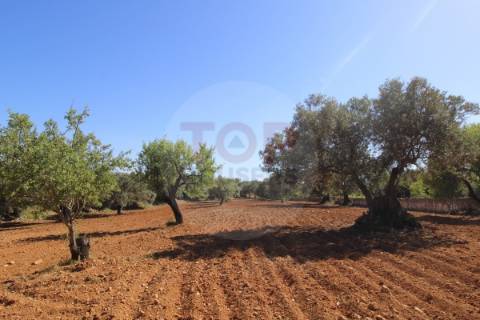 Terreno urbano destinado a construção de moradias unifamiliares