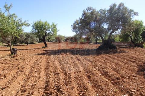 Terreno urbano destinado a construção de moradias unifamiliares