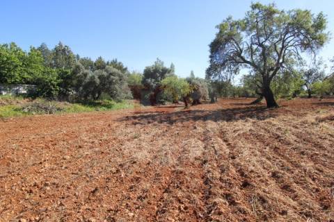 Terreno urbano destinado a construção de moradias unifamiliares