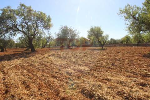 Terreno urbano destinado a construção de moradias unifamiliares