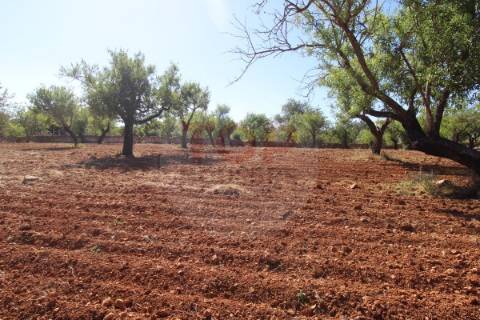 Terreno urbano destinado a construção de moradias unifamiliares