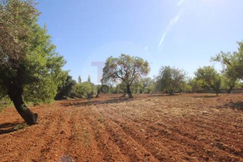 Terreno urbano destinado a construção de moradias unifamiliares