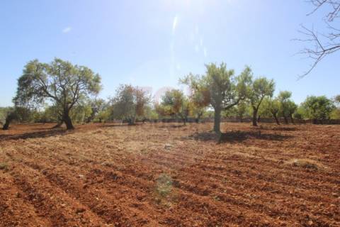 Terreno urbano destinado a construção de moradias unifamiliares