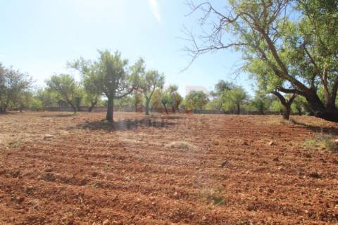 Terreno urbano destinado a construção de moradias unifamiliares