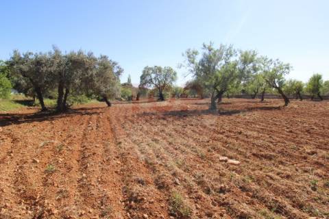 Terreno urbano destinado a construção de moradias unifamiliares