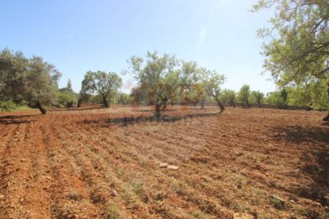 Terreno urbano destinado a construção de moradias unifamiliares