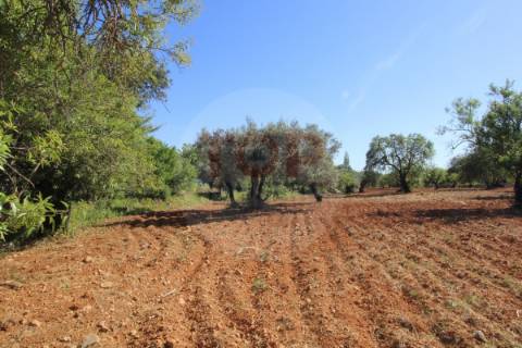 Terreno urbano destinado a construção de moradias unifamiliares
