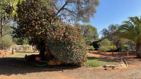 Moradia T5 isolada em Tavira