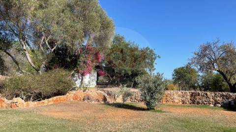 Moradia T5 isolada em Tavira