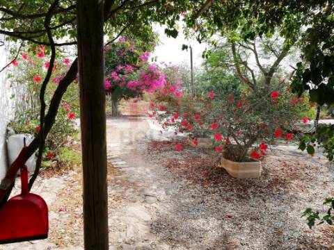 Moradia T5 isolada em Tavira