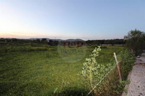 Terreno Urbano na Conceição - Faro