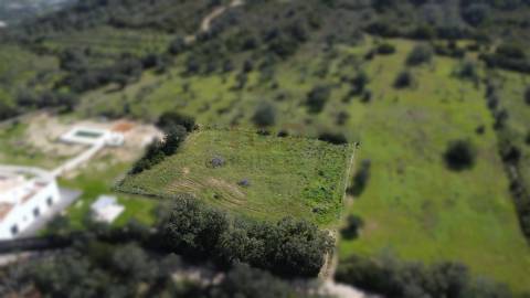 Terreno Rústico para Venda em Santa Bárbara de Nexe