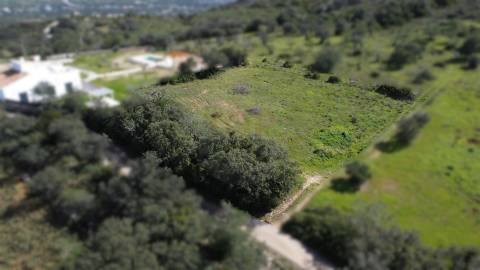 Terreno Rústico para Venda em Santa Bárbara de Nexe