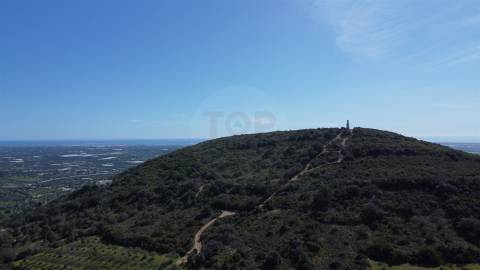 Terreno Rústico para Venda em Santa Bárbara de Nexe