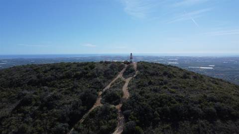 Terreno Rústico para Venda em Santa Bárbara de Nexe