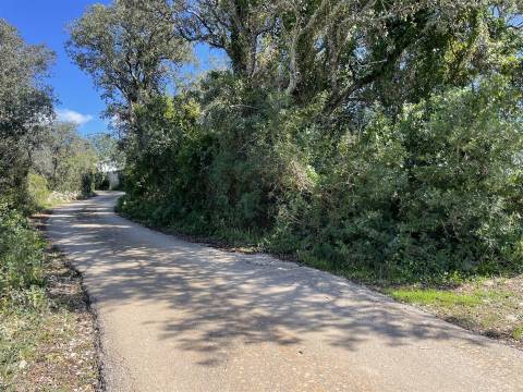 Terreno Rústico para Venda em Santa Bárbara de Nexe