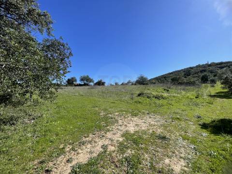 Terreno Rústico para Venda em Santa Bárbara de Nexe