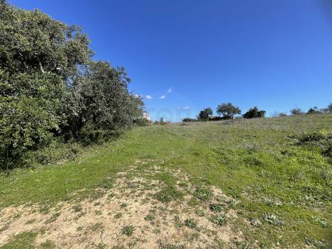 Terreno Rústico para Venda em Santa Bárbara de Nexe