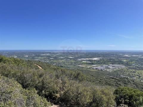 Terreno Rústico para Venda em Santa Bárbara de Nexe