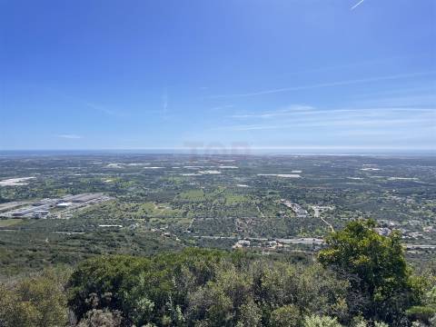 Terreno Rústico para Venda em Santa Bárbara de Nexe